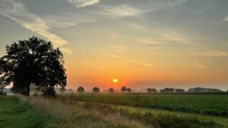 Sonnenaufgang im Herbst