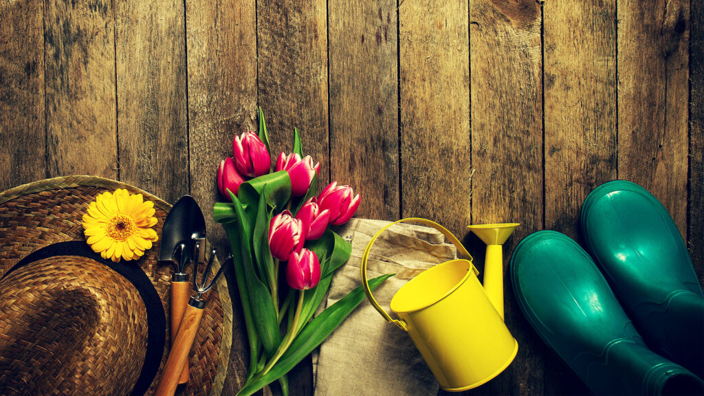 Gartenarbeit im Frühjahr