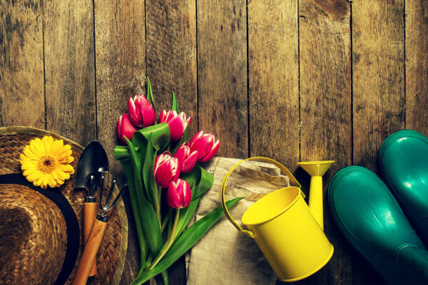 Gartenarbeit im Frühjahr